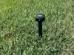 Smart Spider (R) Antenna staked on grassy ground