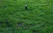 TacSat Antenna on High Gain Mount, staked on grassy ground (3 meter/yard 2X zoom view)